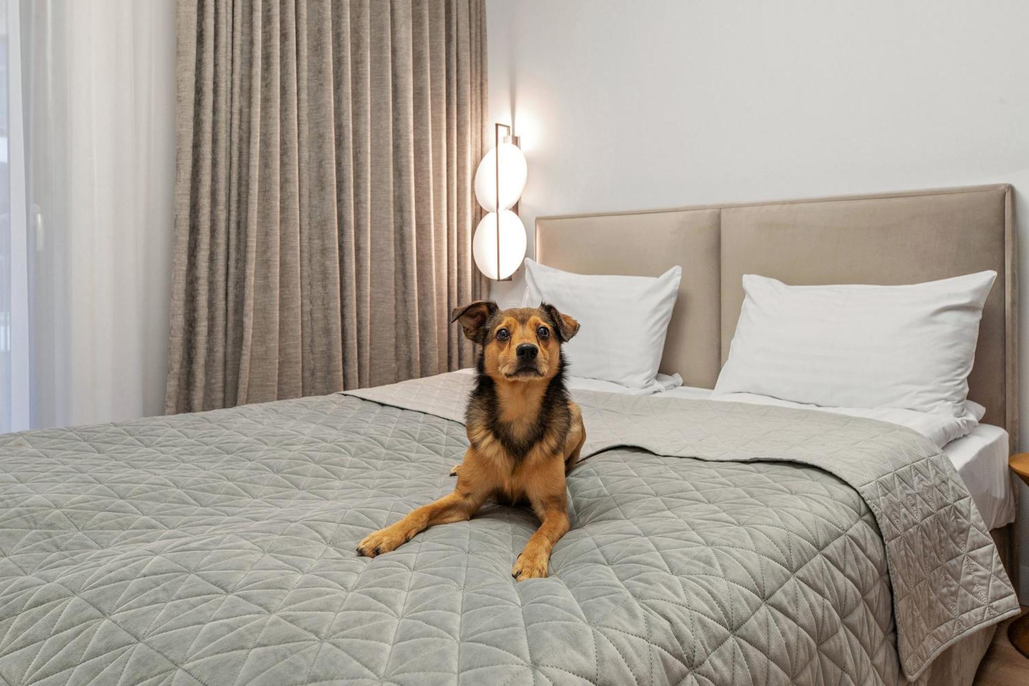 Grano Apartments Gdansk Old Town Spa & Wellness Luaran gambar